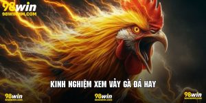 Kinh nghiệm xem vảy gà đá hay