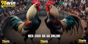 Mẹo chơi đá gà online