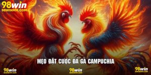 Mẹo đặt cược đá gà campuchia